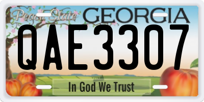 GA license plate QAE3307