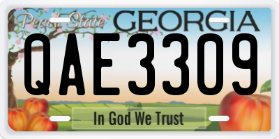 GA license plate QAE3309