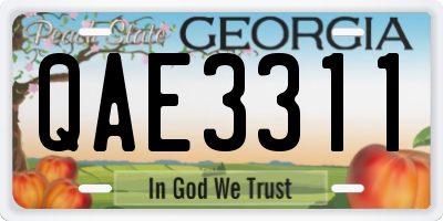 GA license plate QAE3311