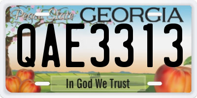 GA license plate QAE3313