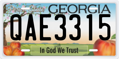 GA license plate QAE3315