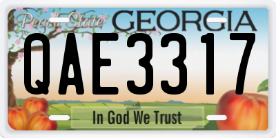 GA license plate QAE3317