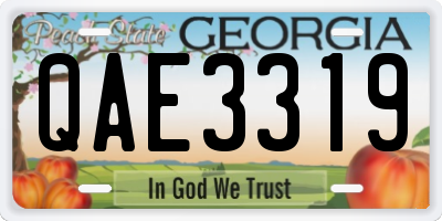 GA license plate QAE3319