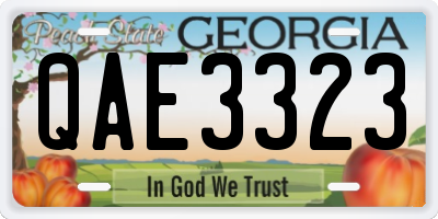 GA license plate QAE3323