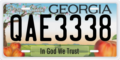 GA license plate QAE3338