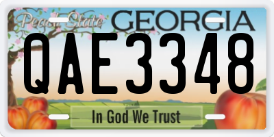 GA license plate QAE3348