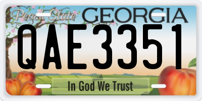 GA license plate QAE3351