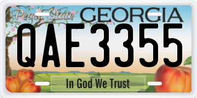 GA license plate QAE3355