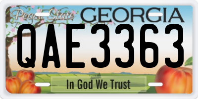 GA license plate QAE3363