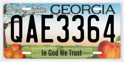 GA license plate QAE3364