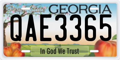 GA license plate QAE3365