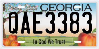 GA license plate QAE3383