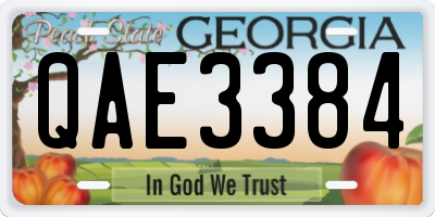 GA license plate QAE3384