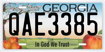 GA license plate QAE3385