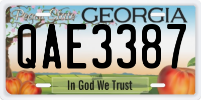 GA license plate QAE3387