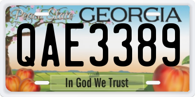 GA license plate QAE3389