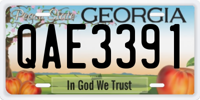 GA license plate QAE3391