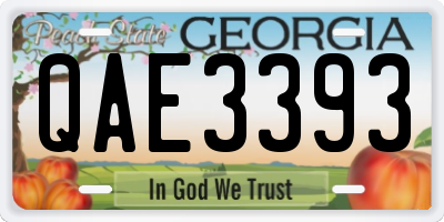 GA license plate QAE3393