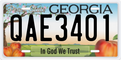 GA license plate QAE3401