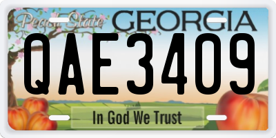 GA license plate QAE3409