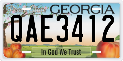 GA license plate QAE3412