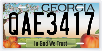 GA license plate QAE3417