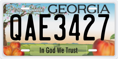 GA license plate QAE3427