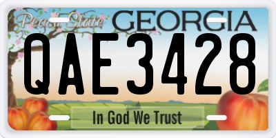 GA license plate QAE3428