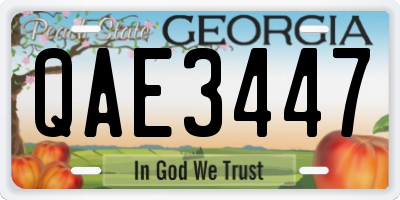 GA license plate QAE3447