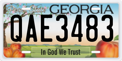 GA license plate QAE3483