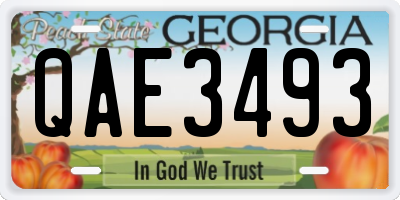GA license plate QAE3493