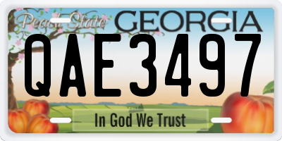 GA license plate QAE3497