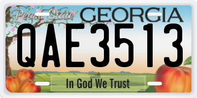 GA license plate QAE3513