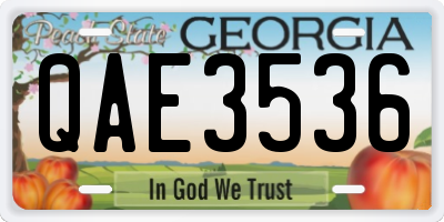 GA license plate QAE3536