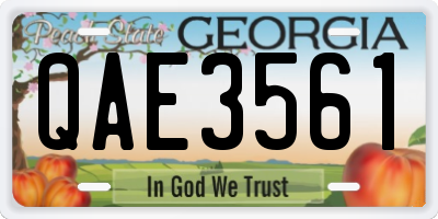 GA license plate QAE3561