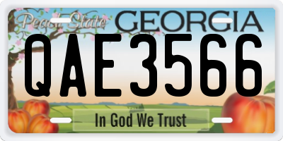 GA license plate QAE3566