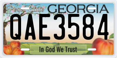 GA license plate QAE3584