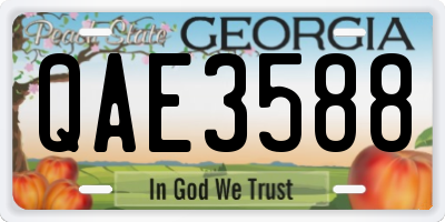 GA license plate QAE3588