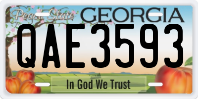 GA license plate QAE3593