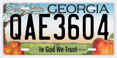GA license plate QAE3604