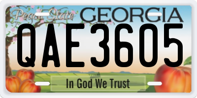 GA license plate QAE3605