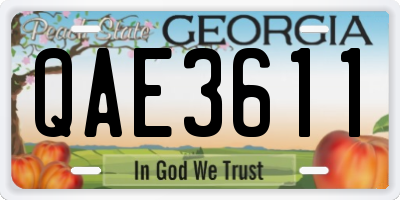 GA license plate QAE3611