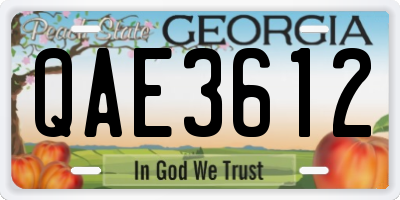 GA license plate QAE3612