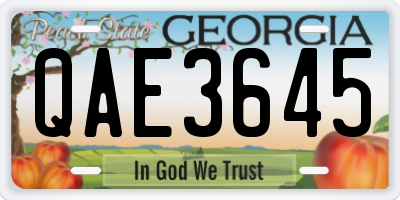 GA license plate QAE3645