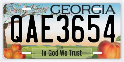 GA license plate QAE3654
