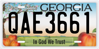 GA license plate QAE3661