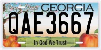 GA license plate QAE3667