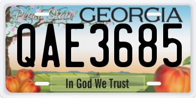 GA license plate QAE3685