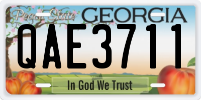 GA license plate QAE3711