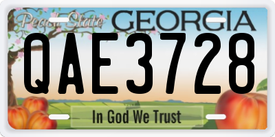 GA license plate QAE3728